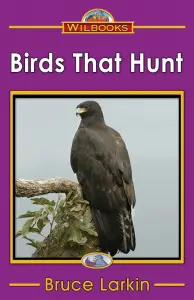 Birds That Hunt