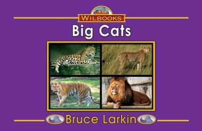 Big Cats