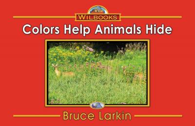 Colors Help Animals Hide
