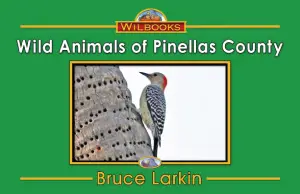 Wild Animals of Pinellas County
