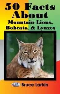 50 Facts About Mountain Lions, Bobcats & Lynxes