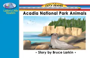 Acadia National Park Animals