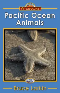 Pacific Ocean Animals