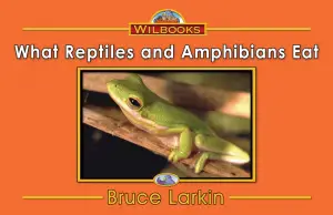 What Reptiles and Amphibians Eat