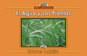 El agua y las plantas