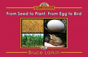 From Seed to Plant, From Egg to Bird