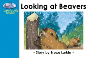 Looking at Beavers