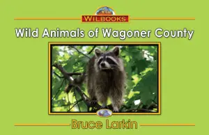 Wild Animals of Wagoner County