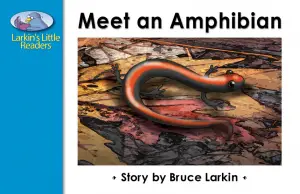 Meet an Amphibian