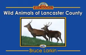Wild Animals of Lancaster County