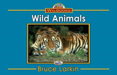 Wild Animals