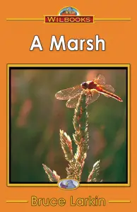 A Marsh