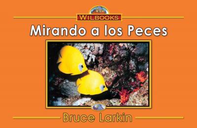 Mirando a los peces