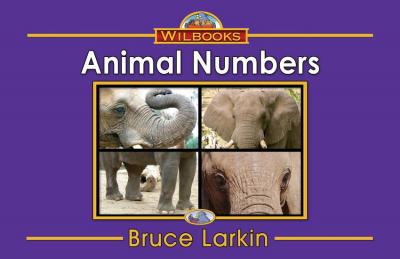 Animal Numbers