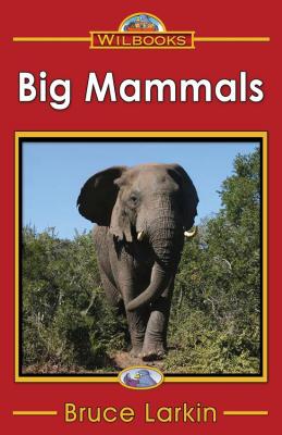 Big Mammals