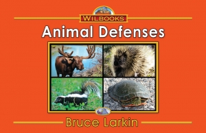 Animal Defenses