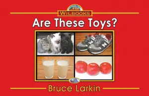 Are These Toys?