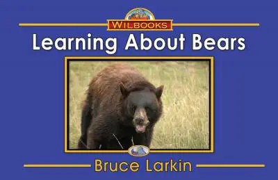 Learning About Bears
