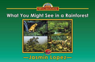 What You Might See in a Rainforest