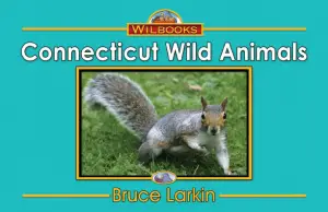 Connecticut Wild Animals