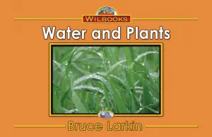 Water And Plants
