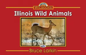 Illinois Wild Animals