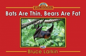 Bats Are Thin, Bears Are Fat