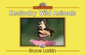 Kentucky Wild Animals