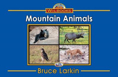 Mountain Animals