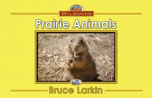 Prairie Animals