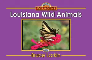 Louisiana Wild Animals