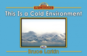 This Is a Cold Environment