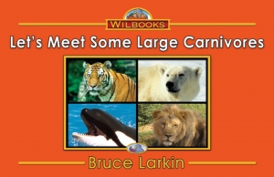 Let's Meet Some Large Carnivores