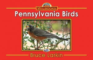 Pennsylvania Birds