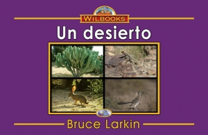 Un desierto