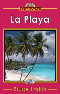 La playa