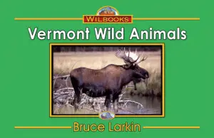 Vermont Wild Animals