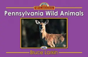Pennsylvania Wild Animals
