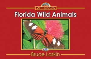 Florida Wild Animals