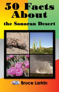 50 Facts About the Sonoran Desert