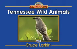 Tennessee Wild Animals