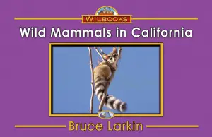 Wild Mammals in California