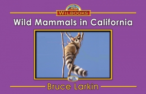 Wild Mammals in California