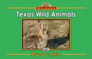 Texas Wild Animals