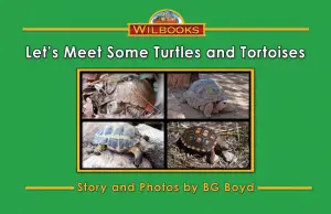 Let's Meet Some Turtles and Tortoises