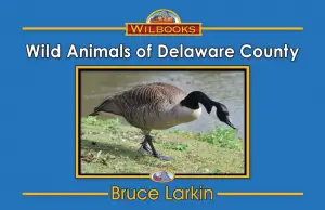 Wild Animals of Delaware County