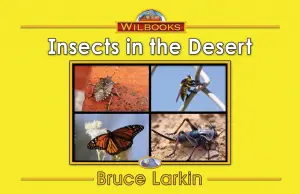 Insects in the Desert