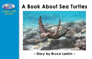 A Book About Sea Turtles