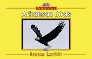 Arkansas Birds