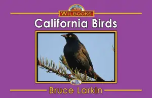 California Birds